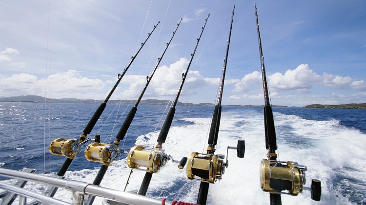 deep sea fishing rods Off 64% 