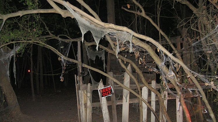 Haunted Trail