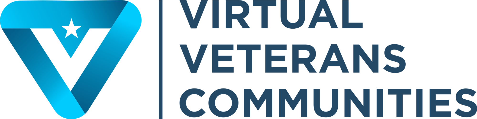 brgg-logos-virtual veterans.png
