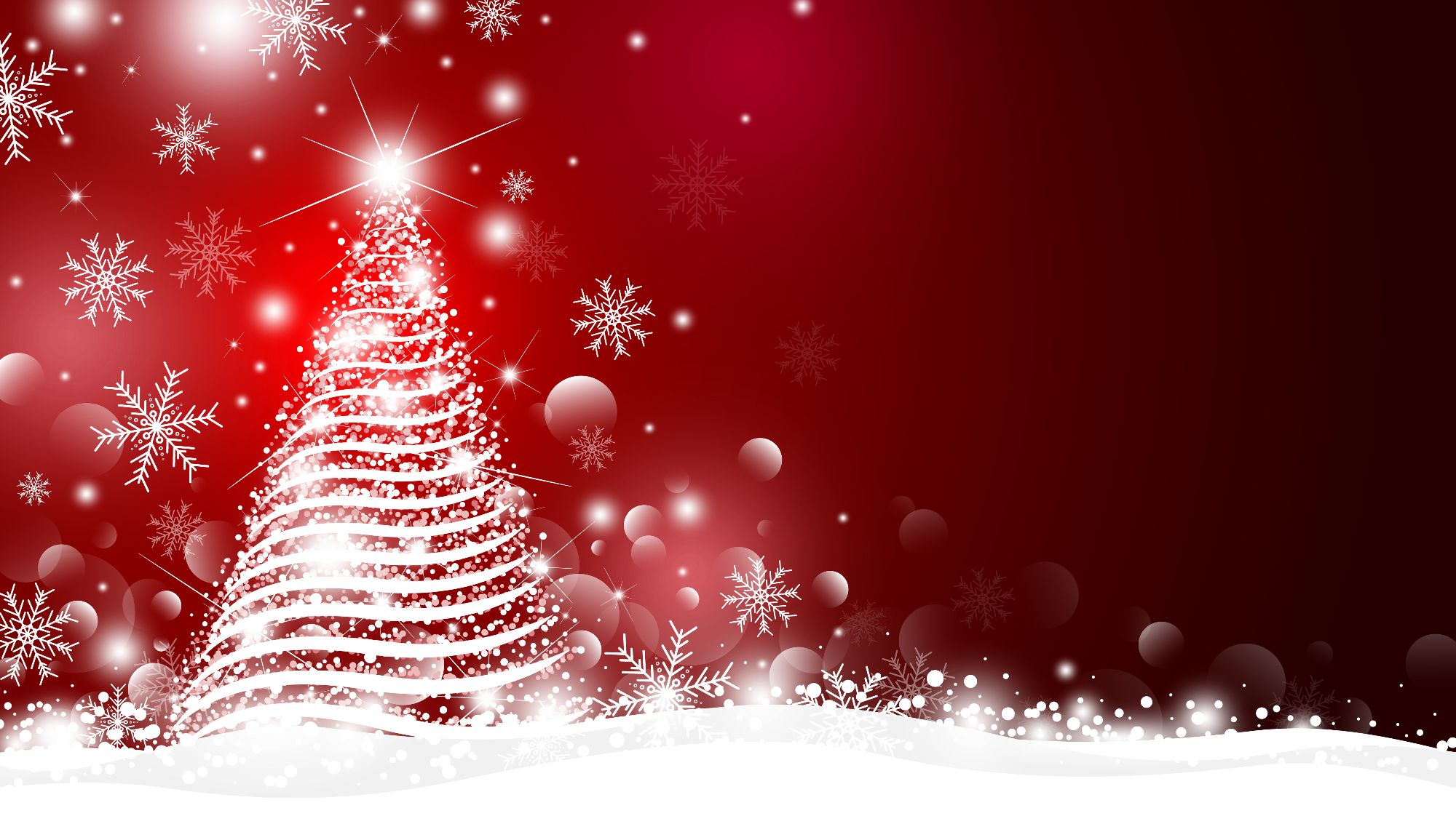 Christmas Tree Lighting