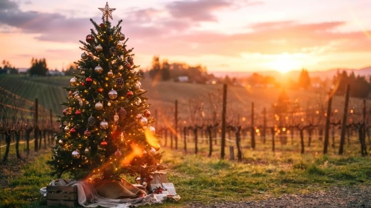 winter wine page.jpeg